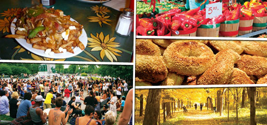 10 exp&eacute;riences typiquement montr&eacute;alaises