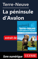 Terre-Neuve: La péninsule d