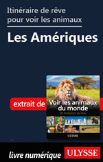 Itinéraires de rêve pour voir les animaux -  Les Amériques