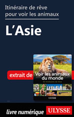 Itinéraires de rêve pour voir les animaux -  L
