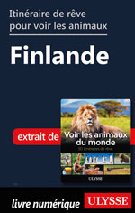 Itinéraire de rêve pour voir les animaux -  Finlande