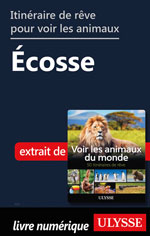 Itinéraire de rêve pour voir les animaux -  Écosse