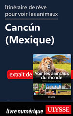 Itinéraire de rêve pour voir les animaux -  Cancún (Mexique)
