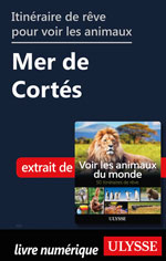 Itinéraire de rêve pour voir les animaux -  Mer de Cortés