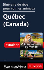 Itinéraire de rêve pour voir les animaux -  Québec (Canada)