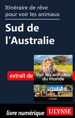 Itinéraire de rêve pour voir les animaux Sud de l