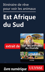 Itinéraire de rêve pour voir les animaux Est Afrique du Sud