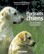 Portraits de Chiens