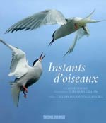 Instants d