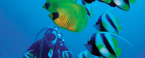 Les sites de plong&eacute;e de Cozumel