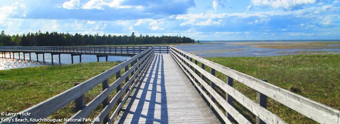 &Eacute;vasion sur la c&ocirc;te acadienne du Nouveau-Brunswick