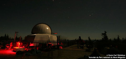 5 activit&eacute;s excitantes &agrave; faire cet &eacute;t&eacute; avec des adolescents