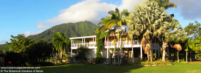 &Agrave; la d&eacute;couverte de 5 merveilleux jardins des Cara&iuml;bes 