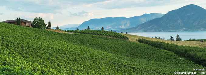 3 arr&ecirc;ts dans la magnifique vall&eacute;e de l'Okanagan