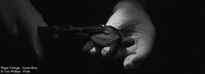 3 SITES DE CHOIX O&Ugrave; S&rsquo;INSTALLER POUR UNE SEMAINE OU PLUS AU COSTA RICA