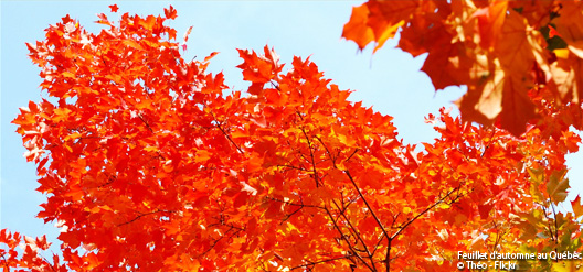 Couleur de l'auntomne
