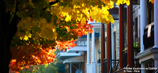 Couleur de l'auntomne