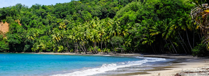 Croisi&egrave;res dans les Cara&iuml;bes