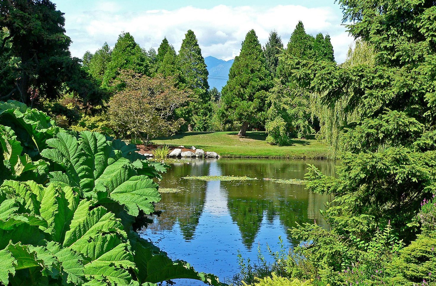 VanDusen Botanical Garden de Vancouver - Par Stan Shebs, CC BY-SA 3.0.