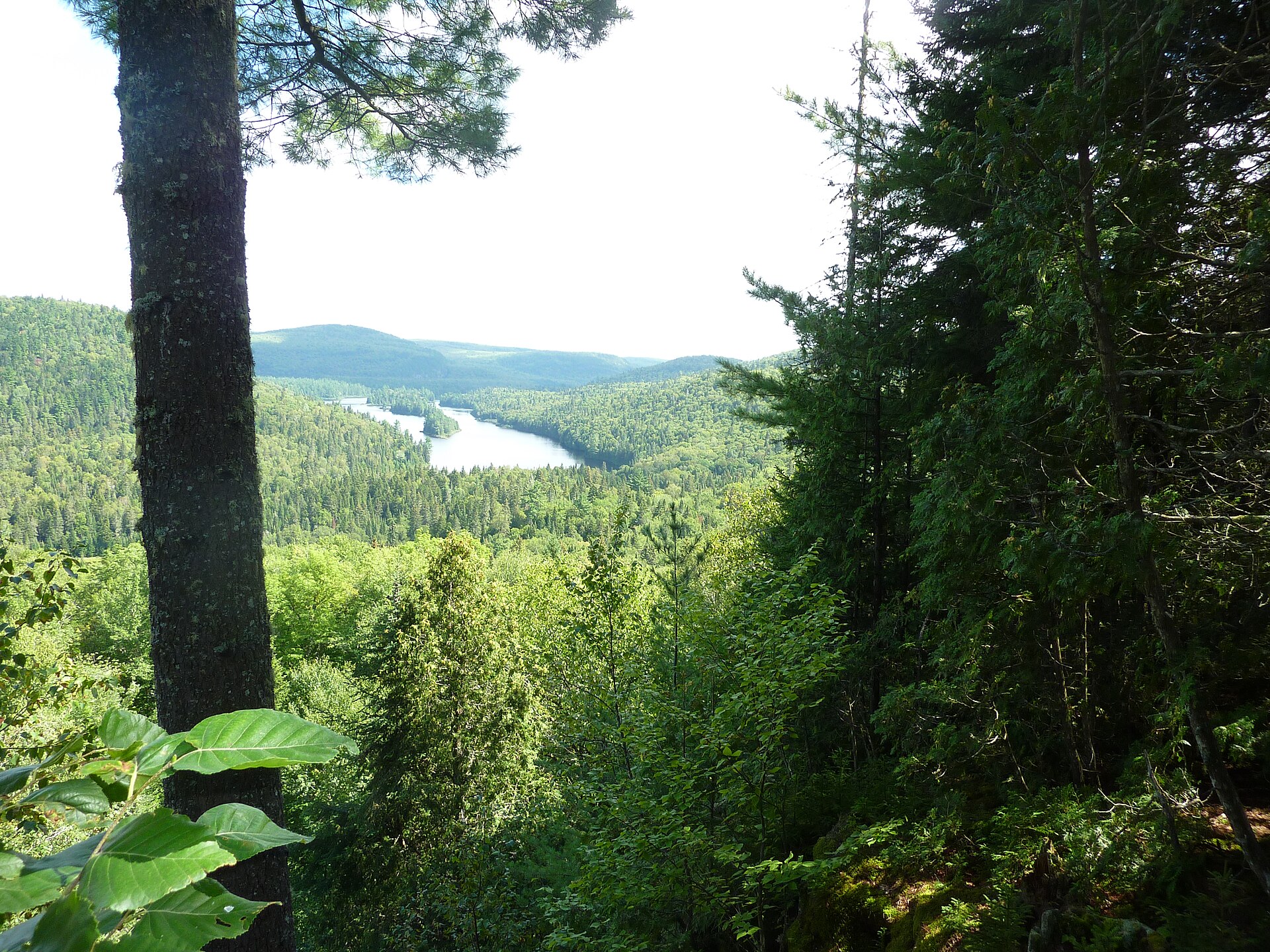 Parc national de la Mauricie au Québec; vue sur le bassin 4 du lac Wapizagonke. Par Mathématicien joyeux — Travail personnel, CC BY-SA 3.0, 
