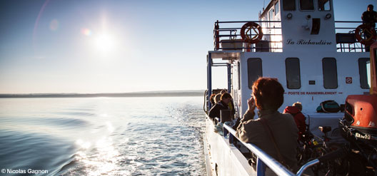 5 croisières pour voir le Saint-Laurent autrement 