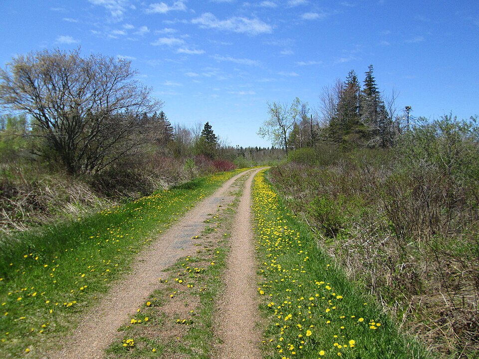Confederation Trail près de Morell, Île-du-Prince-Édouard. Par Larry, CC BY 2.0