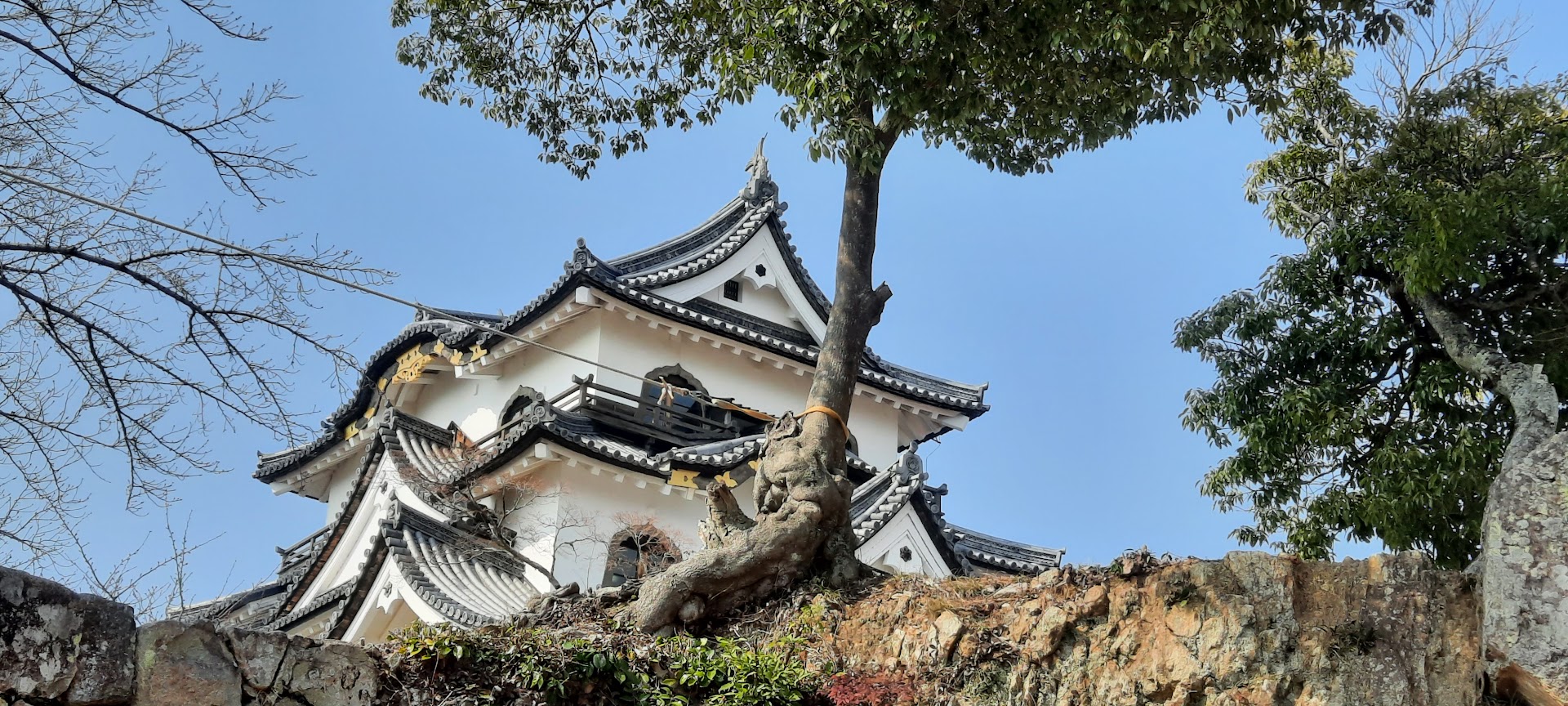 Le chpateau de Kyoto. Photo © Daniel Desjardins