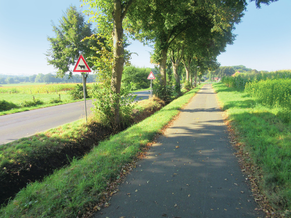 Compostelle à vélo