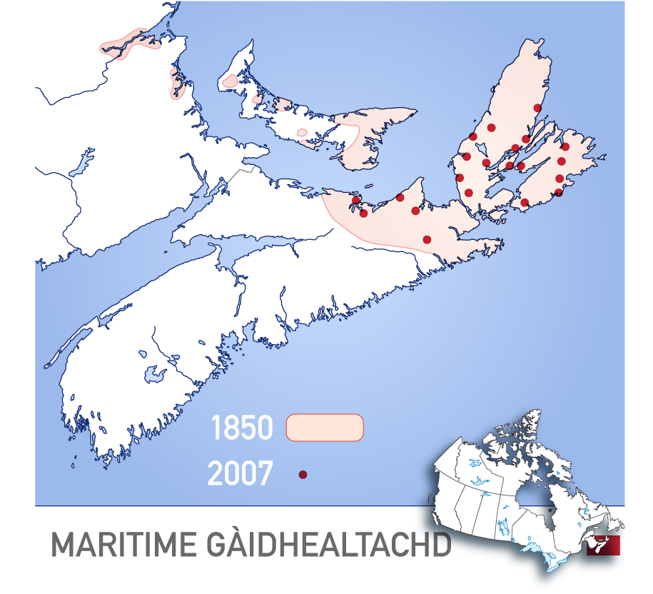 Carte des régions du Canada atlantique où le gaélique est parlé, évolution entre 1850 et 2007. Par Muckapedia — Domaine public