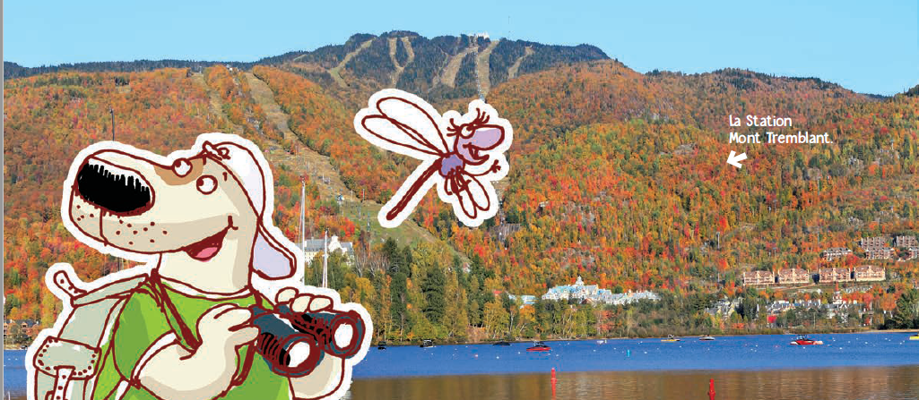 © Illustration : Pascal Biet