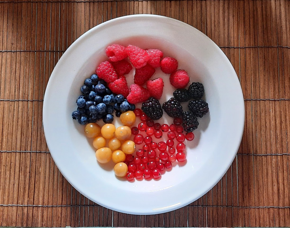 Fruits de saison à Montréal: bleuts, framboises, mûres, groseilles et cerises de terre. Photo  ©  Daniel Desjardins