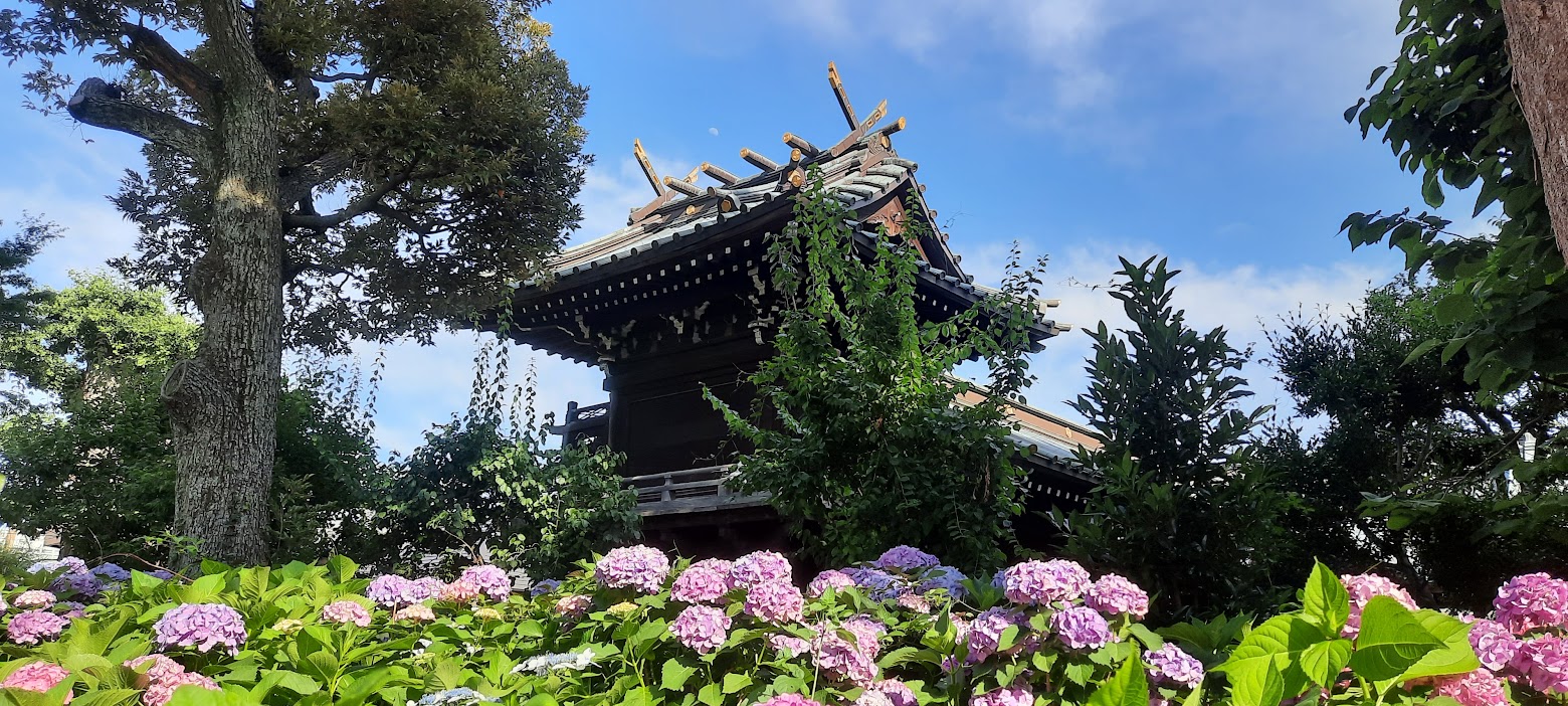 Calendrier de floraison au Japon