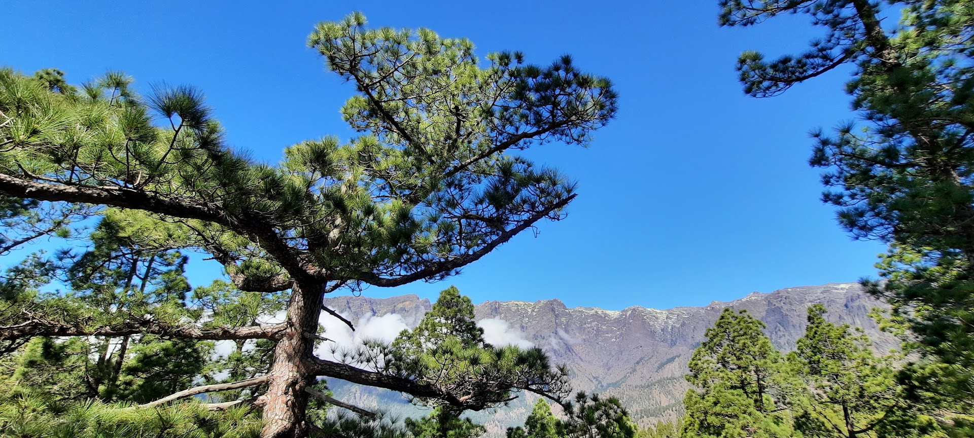 Sur l'île de la Palma, Canaries, Espagne. Photo © Daniel Desjardins