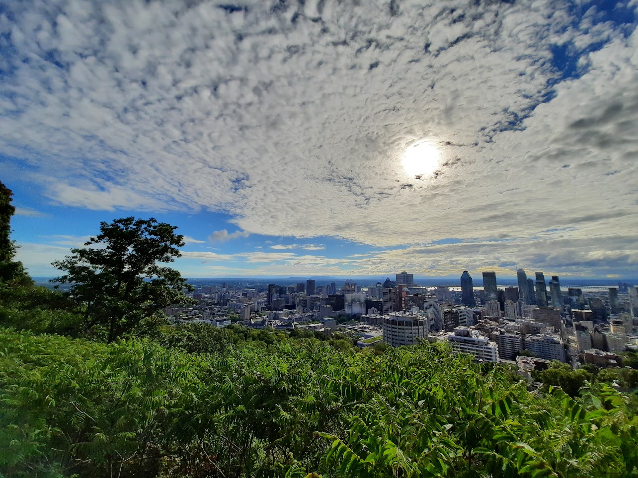 Le campus de l'Université de Montréal se trouve sur le versant nord du Mont-Royal. Depuis le belvedère Kondiaronk on peut voir le centre-ville, le fleuve Saint-Laurent et au-delà. Photo © Daniel Desjardins