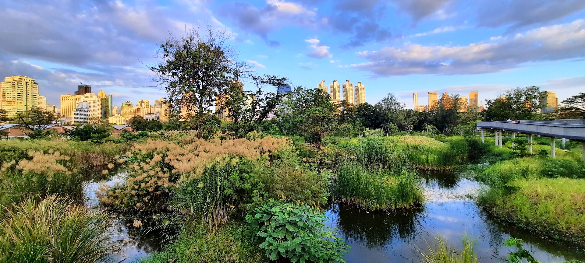 Les billets « tour du monde » de la Star Alliance