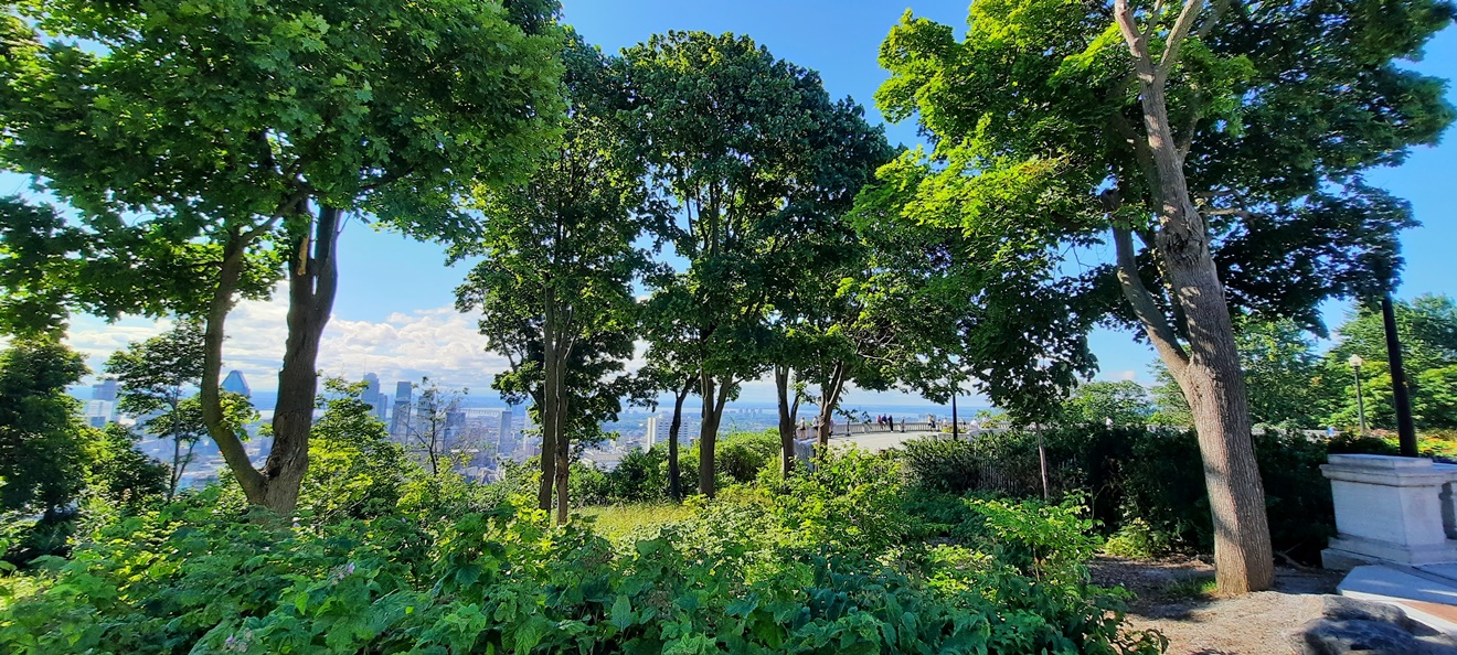 Jeanne Mance, cofondatrice de Montréal