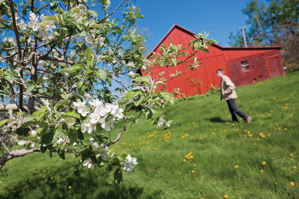 Sur la Route des cidres