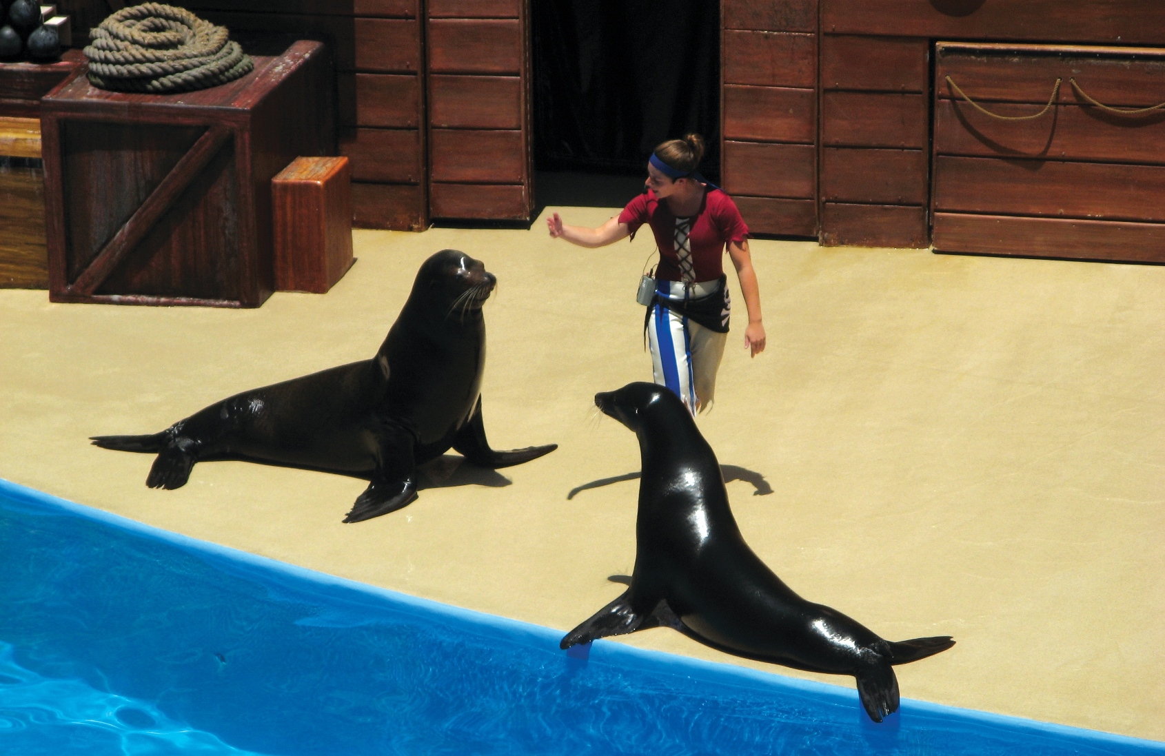 Des visites guidées qui sortent de l’ordinaire à SeaWorld