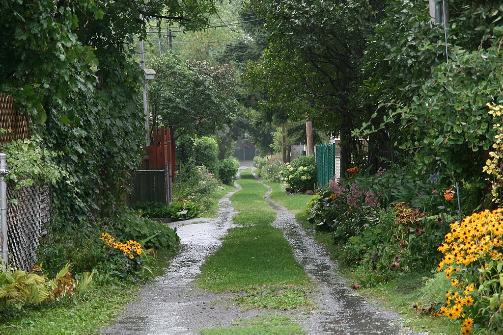 Ruelle Verte - entre la 25e et la 26e avenue, entre St-Zotique et Bélanger à Montréal. par Baty Arnaud, Alex Hartunian (Wikipedia Takes Montreal) Creative Commons (CC) 3.0