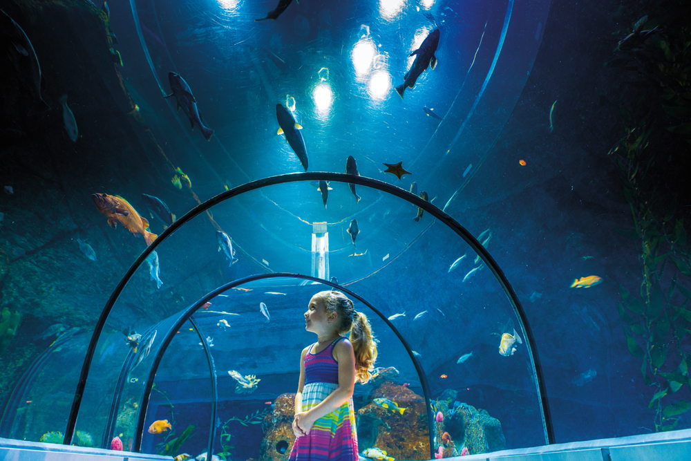 Voyager avec des enfants