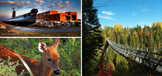 4 activités exaltantes dans le Bas-Saint-Laurent