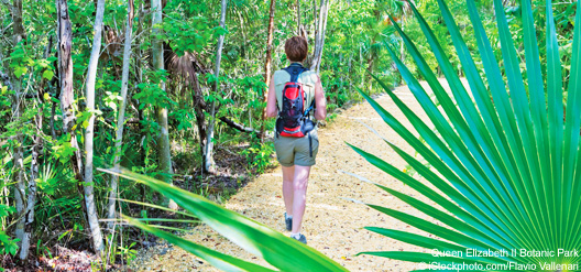 À la découverte de 5 merveilleux jardins des Caraïbes