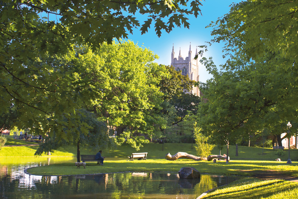 Randonnée pédestre - Le parc du Mont-Royal