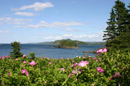 Est du Qu&eacute;bec