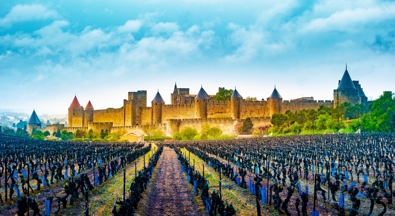 Carcassone, département de l'Aude, région Occitanie  © iStock / CJ_Romas
