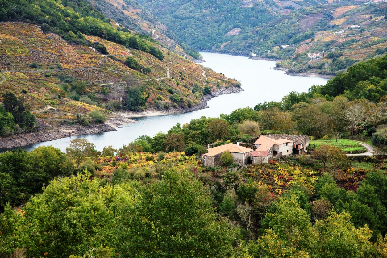 Les rives de la rivière Sil en Galice, Espagne.  ©  iStock / fuen30