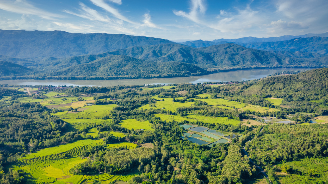 Rizières au Laos  © iStock / Mlenny
