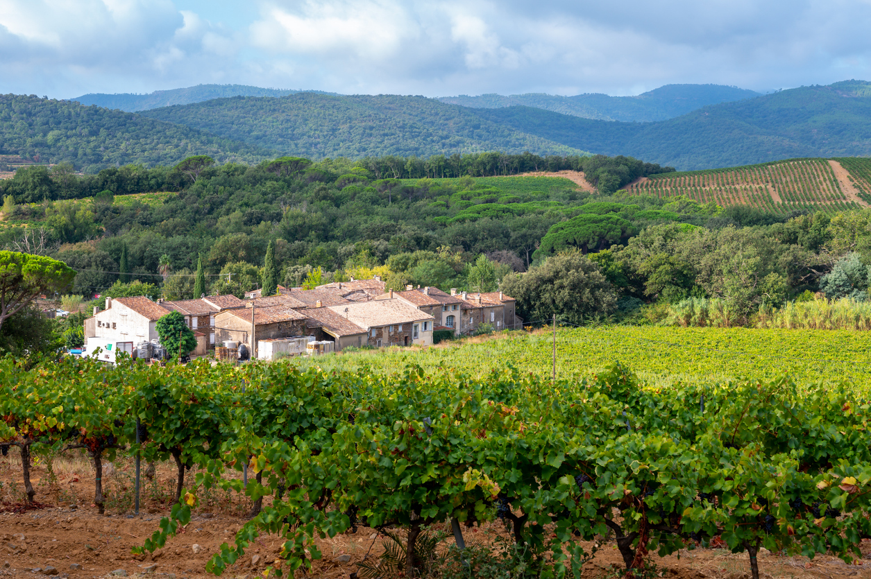 Vignobles des Côtes de Provence près de Collobrières, région P.A.C.A., France © iStock / barmalini