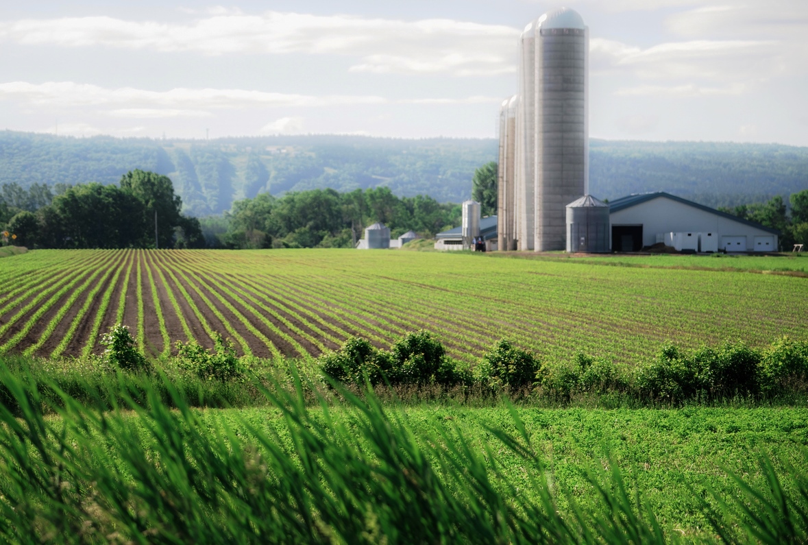 Paysage agricole, Rivière Ouelle, Bas-Saint-Laurent, Québec © iStock / Sophie Caron