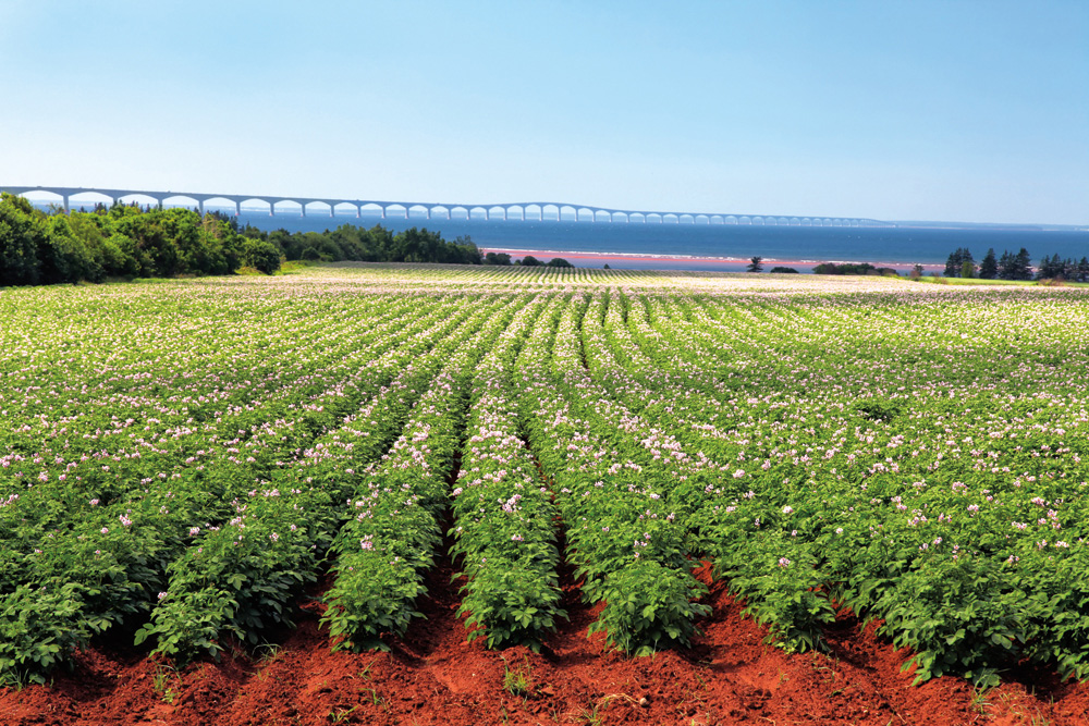 Climat des Provinces Atlantiques du Canada